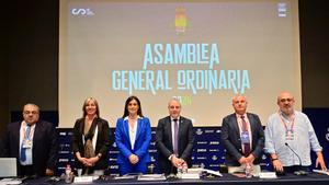 Asamblea General Ordinaria de Balonmano